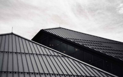 How can I tell if my roof is damaged or nearing the end of its life?