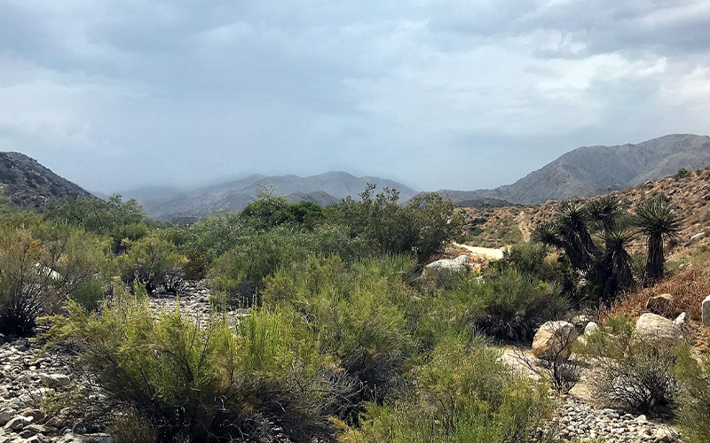 Morongo Valley Roofing Morongo Valley Roofing