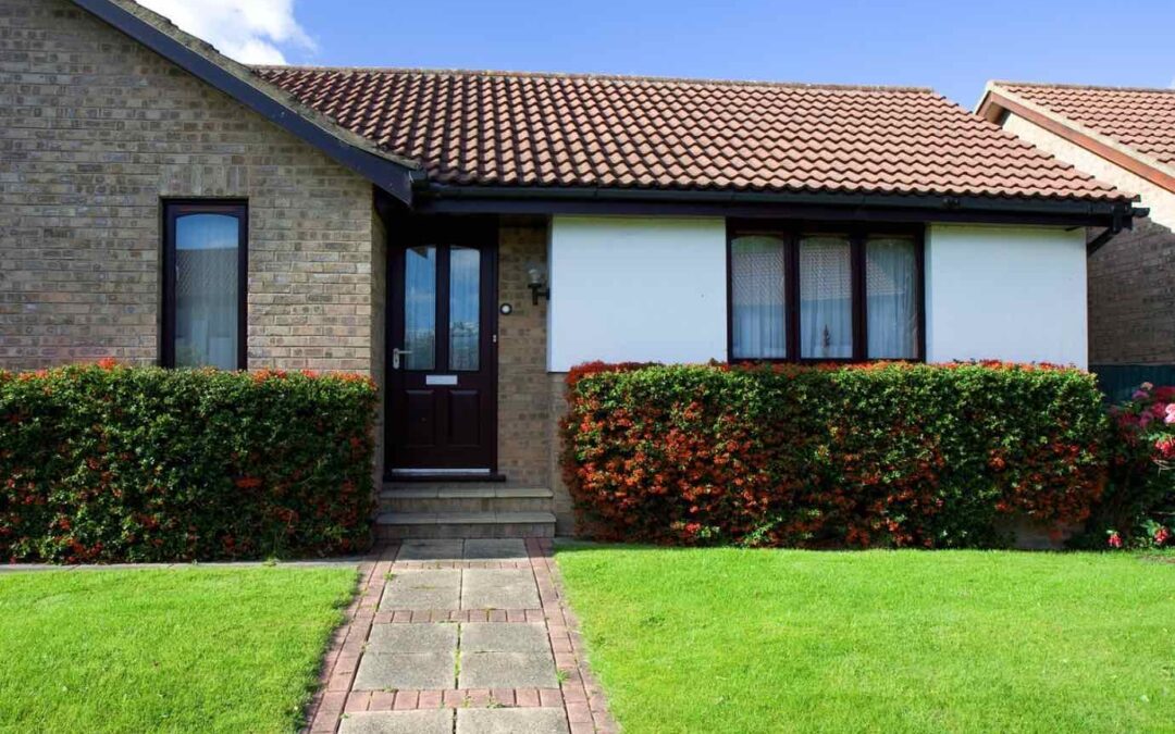 How to Protect Your Roof from Mold and Moss: Expert Tips from Hemet’s All Seasons Roofing