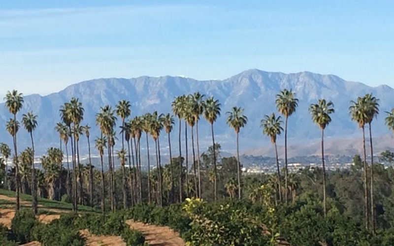 Woodcrest Roofing Company Woodcrest Roofing Company