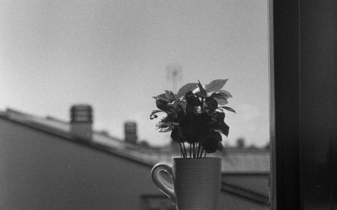 Which roofing material is best for my home and climate in Hemet, CA?