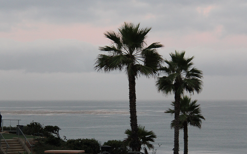 Solana Beach Roofing Company | Solana Beach Roofing Services