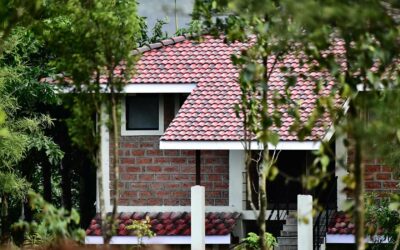 Is Cleanup Included in a Roof Replacement? Tips Hauling Away Old Materials