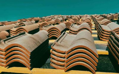 Roof Rescue: How to Safely Remove Moss, Algae, and Black Streaks Without Damaging Your Shingles