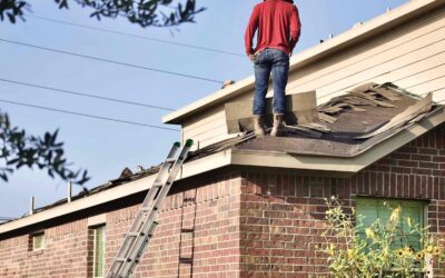 7 Telltale Signs Your Roof Is Crying Out for Replacement