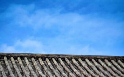 How Can I Tell Whether My Roof Needs Repair, Replacement, or Just Routine Maintenance?