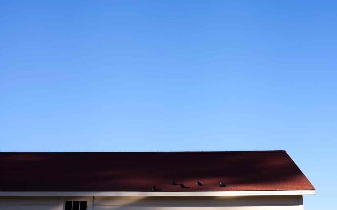 Hemet roofing company, roofing companies in hemet ca, best roofing companies around hemet, best roofing companies in hemet ca, commercial roofing