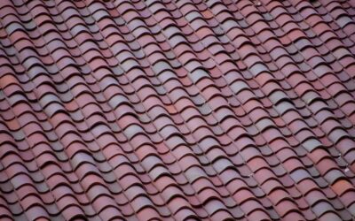 Can a Roof Leak Cause Mold, Damaged Insulation, or Structural Rot Inside the Home?