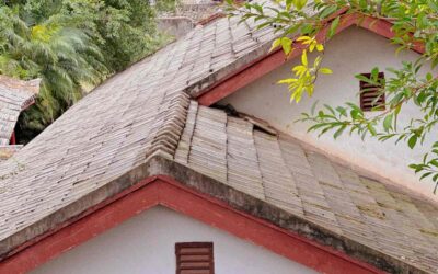 What Roof Damage Should I Look for After High Winds, Hail, or Falling Branches?