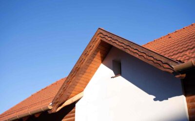 Do Overhanging Trees Damage Roofs? Why Branches Should Be Trimmed Back