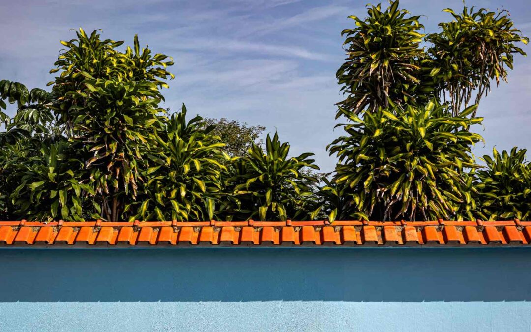 Hemet roofing company, roofing companies in hemet ca, best roofing companies around hemet, best roofing companies in hemet ca, commercial roofing