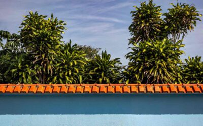 What Roofing Work Requires a Permit in Hemet—and Who Pulls It?