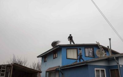 What Should I Inspect After a Major Storm, Heat Wave, or Unusually Windy Season?